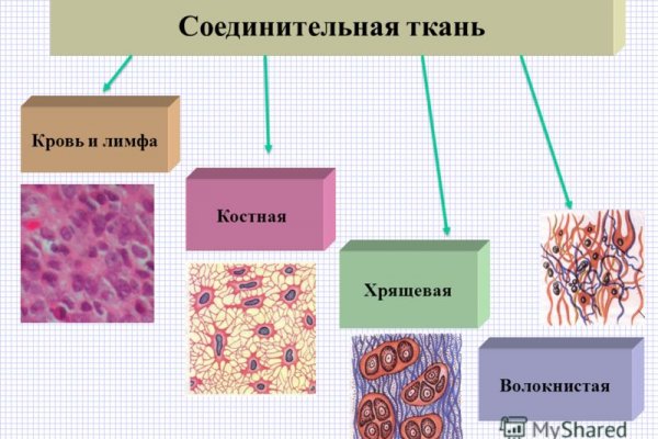 Поддержка кракен шоп