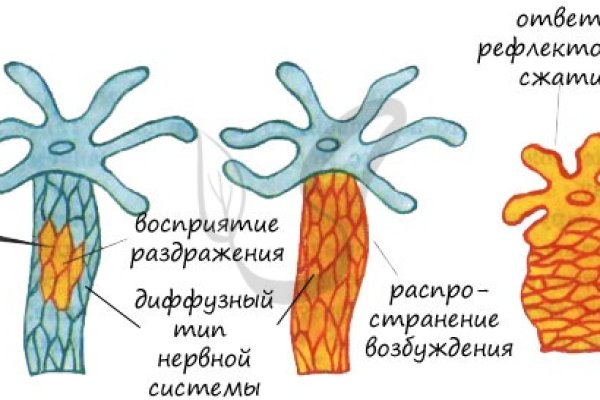 Kraken как зайти