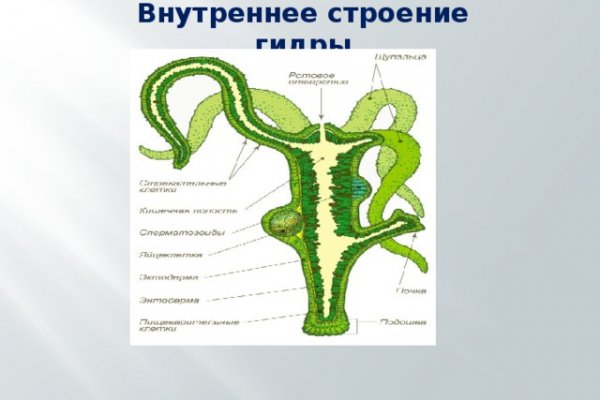 Кракен ссылка работает