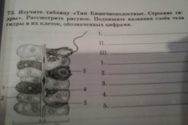 Гидра даркнет рынок