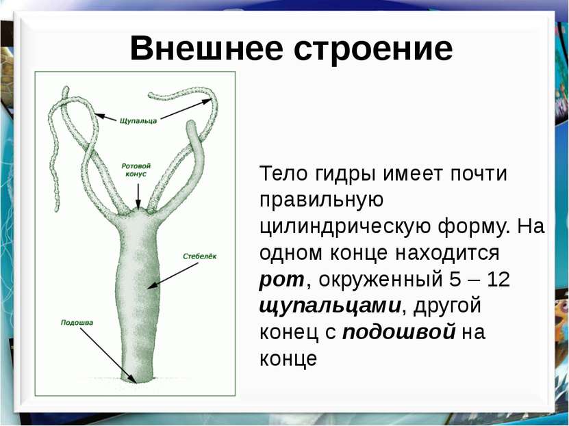 Купить наркотики онлайн